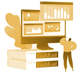 Hosting Website Packages
